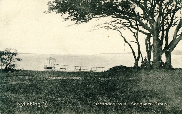 Sandskredet ca. 1905.jpg