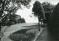 Park og frugthave - 1959 (B13828)