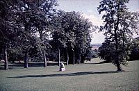 Park og frugthave - 1964 (B11990)