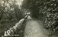 Park og frugthave - 1911 (B11972)