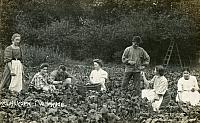 Park og frugthave - 1900 (B12158)