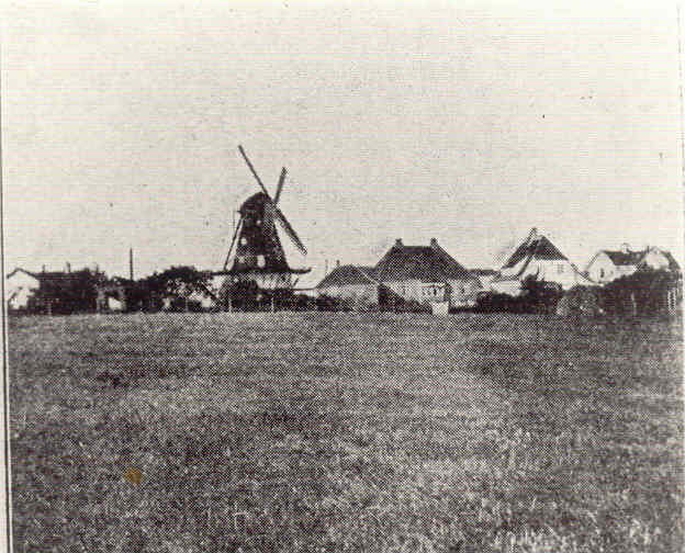 Grønnehave Mølle anno 1920 (B90046)
