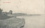 Strandeng ved Rørvig  - ca. 1909  (B95115)