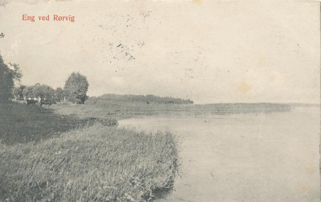 Strandeng ved Rørvig  - ca. 1909  (B95115)
