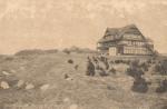 Strandhotellet med beplantning af fyrretræer  - ca. 1919  (B95141)