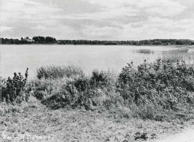 Dybesø, Missionskurstedet  - ca. 1935  (B95185)