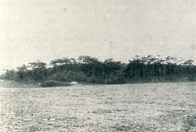 Højsandet   - før 1903  (B95259)