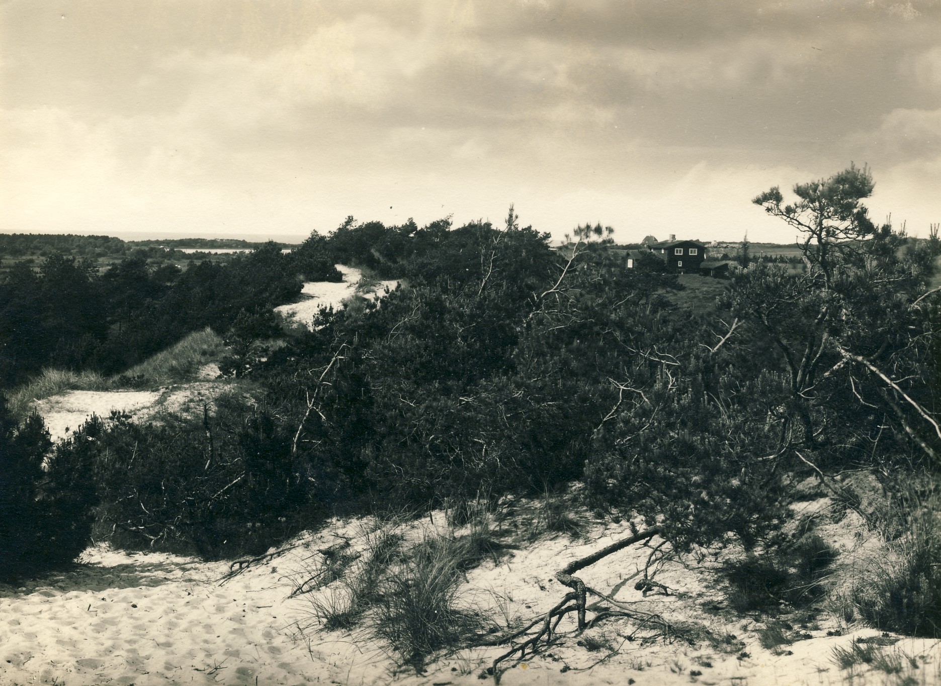 Sommerhuse i Højsandet  - ca. 1930  (B95260)