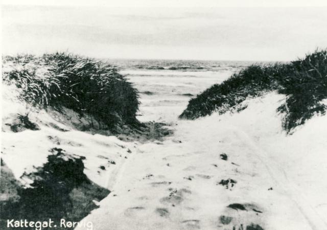Kattegatskysten  - ca. 1950  (B95289)