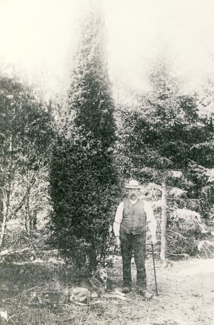 Klitfogeden   - ca. 1930  (B95351)