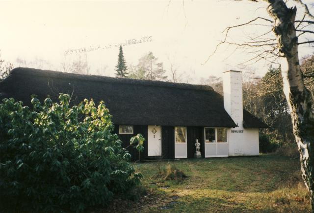 Fra Gl Dybesøvej  - 1990'erne  (B95356)