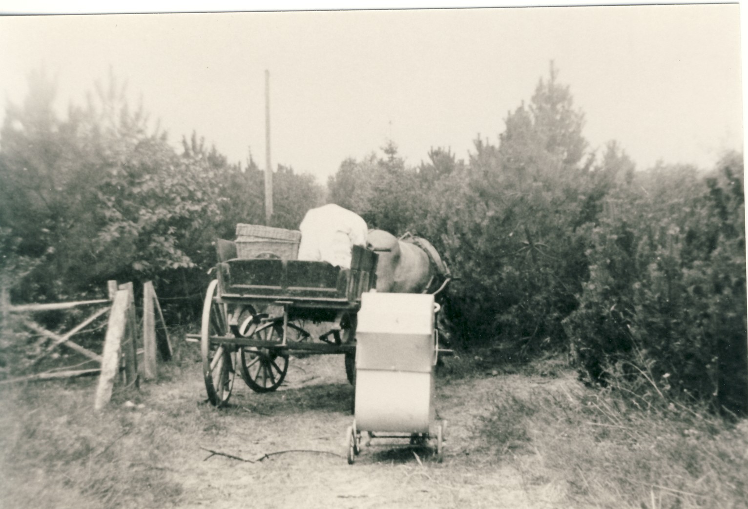 Bombninger i Rørvig Plantage-1944 (B95474)