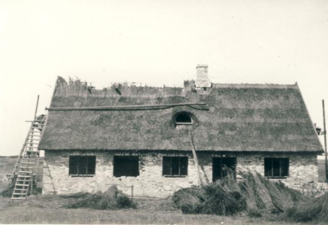 Henrik Pontoppidan-1924 (B95677)