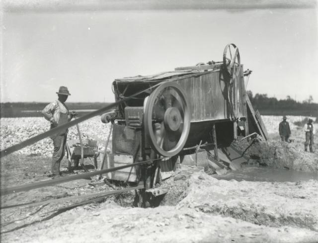 Skallegravning på Lammefjorden - ca. 1930 (B3241)