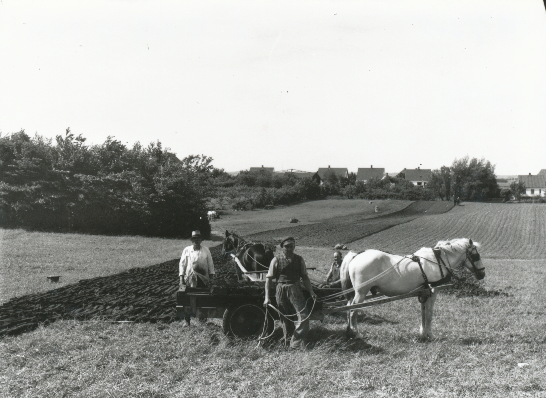 Tørvegravning - ca. 1940 (B3244)