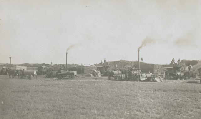 Lammefjorden. Tærskning - ca. 1922 (B3258)