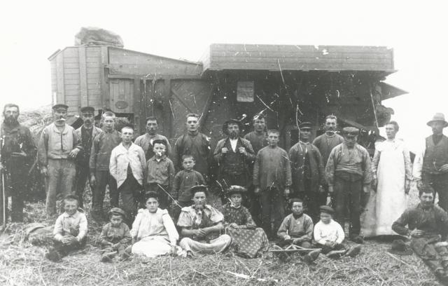 Tærskning på Lammefjorden - ca. 1890 (B3275)