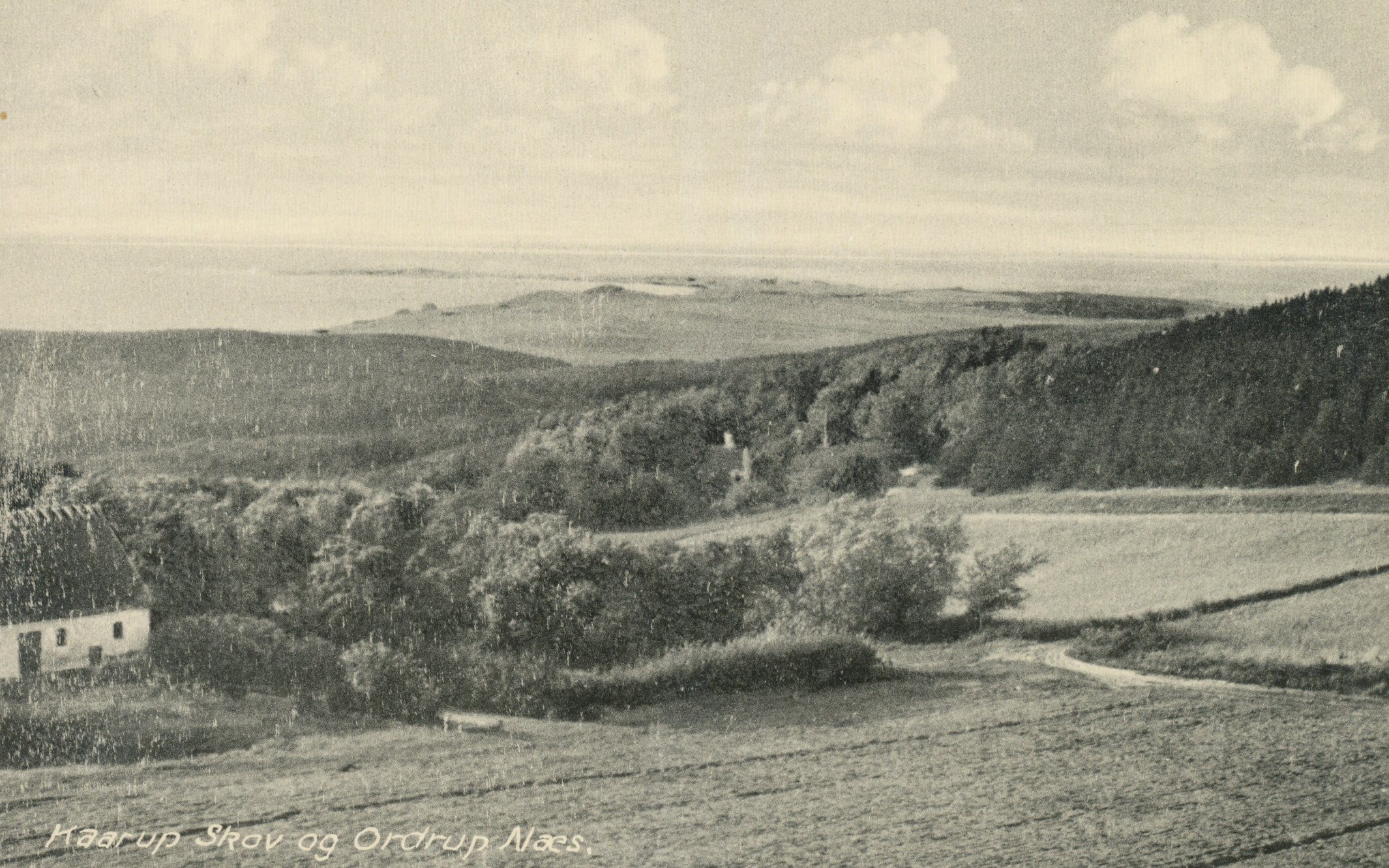 Kårup Skov og Ordrup Næs - ca. 1930 (B3286)