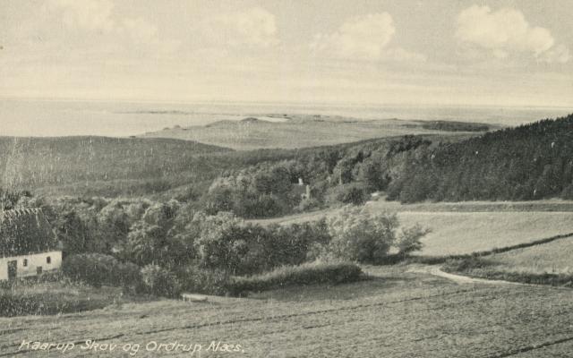 Kårup Skov og Ordrup Næs - ca. 1930 (B3286)