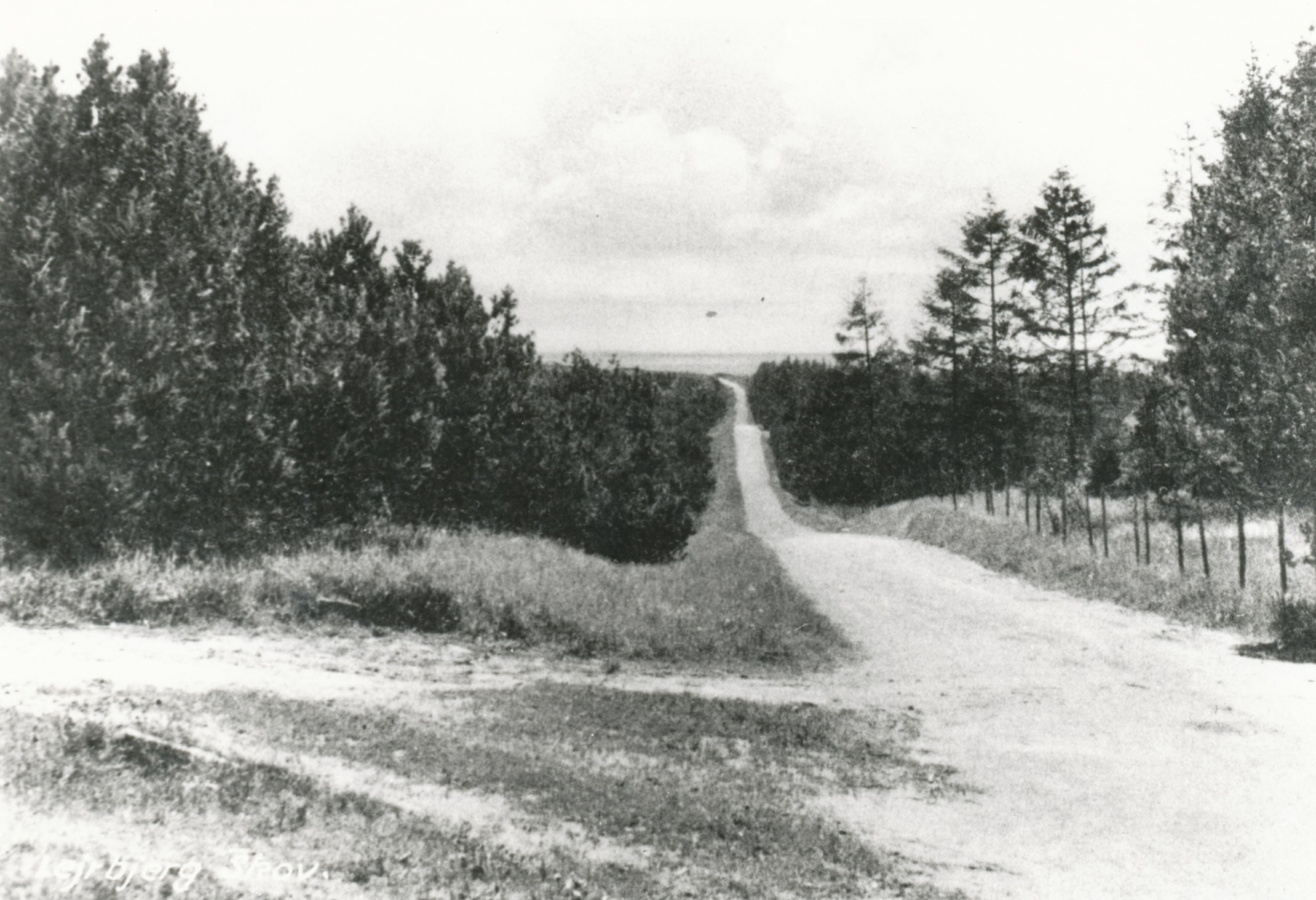 Kårup Skov - ca. 1930 (B3293)