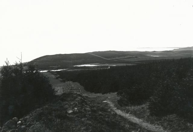 Udsigt fra Bjergene - ca. 1910 (B3298)