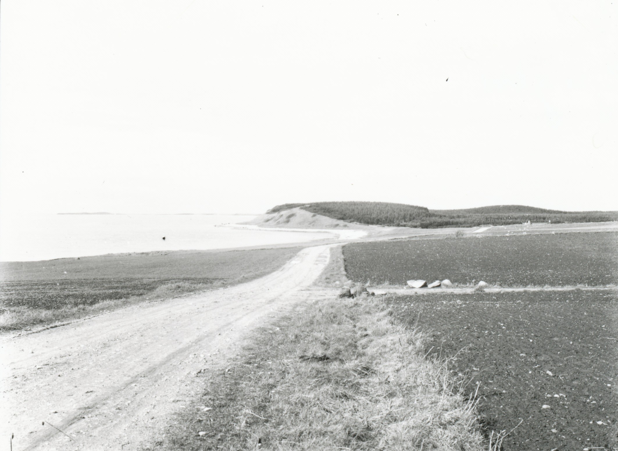 Bjergene. Vindekilde Strandvej - ca. 1910 (B3304)