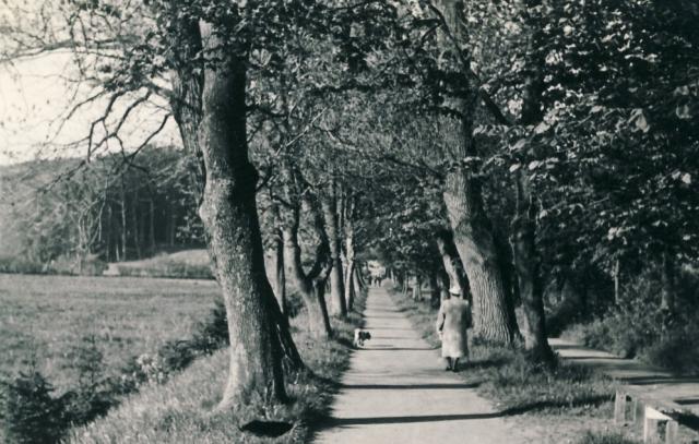 Grønnehave Stien 1944 (B90734)