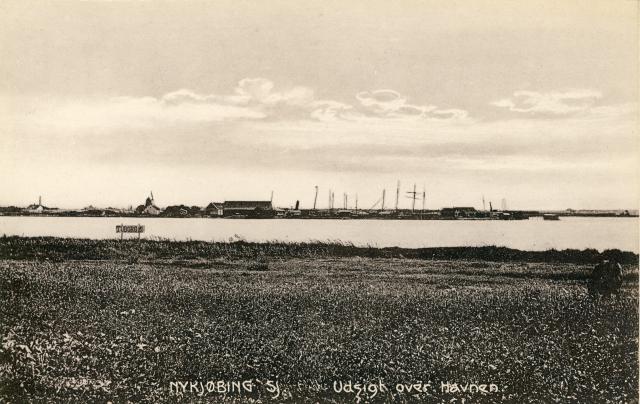 Udsigt over Havnen ca. 1904 (B90806)