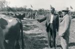 Dyrskue 1955 (B3483)