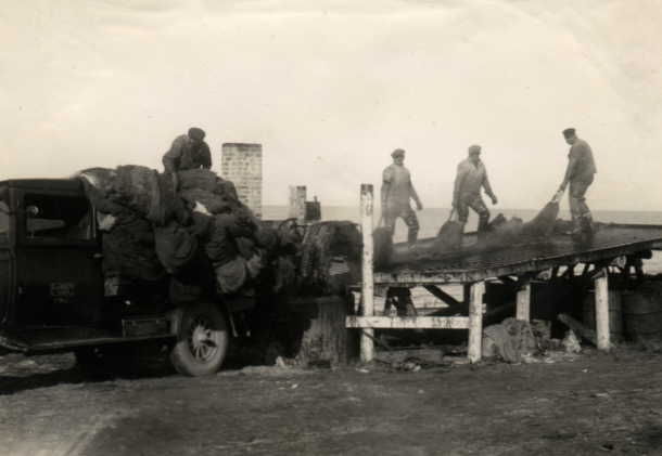 Fra Tjæregryden på Overby Lyng - 1930'erne (B90)