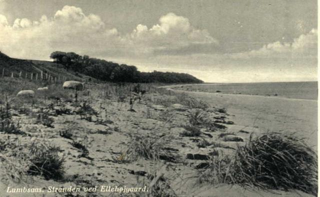 Lumsaas Nordstrand ved Ellehøjgaard - 1930'erne (B102)