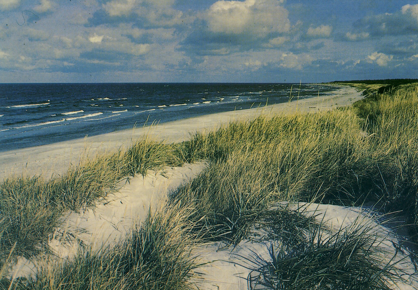 Skærby Strand 1965 (B91129)