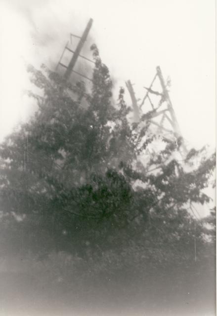 Grønnehave Mølle 1941 (B91181)