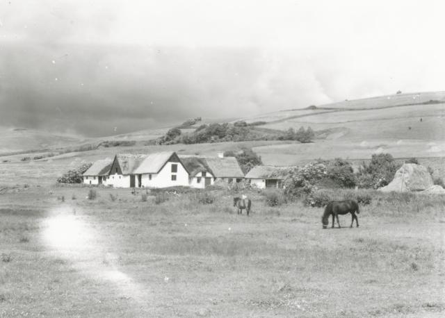 Bjerggården, Bjergene - ca. 1940 (B3537)