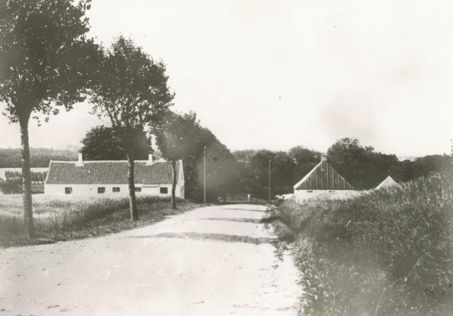 Parti fra Vindekilde - ca. 1910 (B3552)