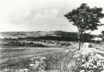 Sanddobberne - ca. 1947 (B3558)