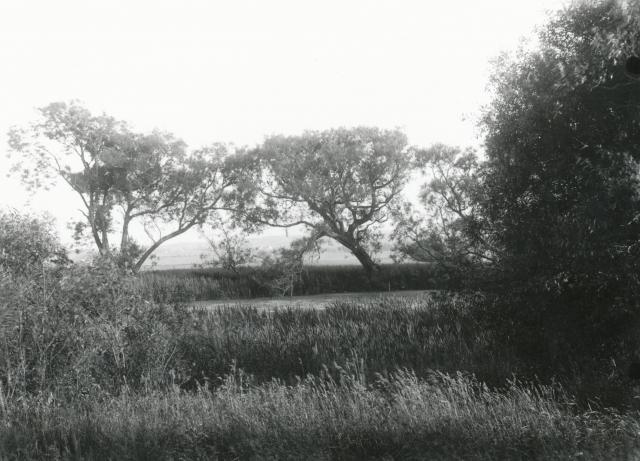 Gadekær. Vindekilde - ca. 1920 (B3572)