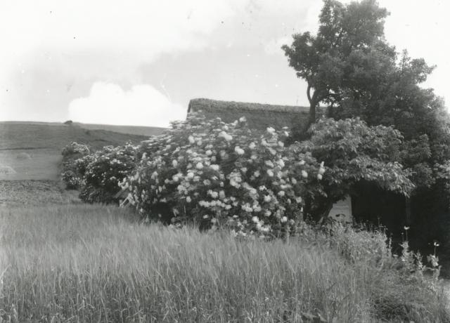 Bondehus i Bjergene - ca. 1930 (B3580)