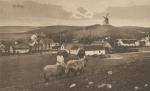 Parti fra Ordrup set fra Bavnen - ca. 1930 (B3627)