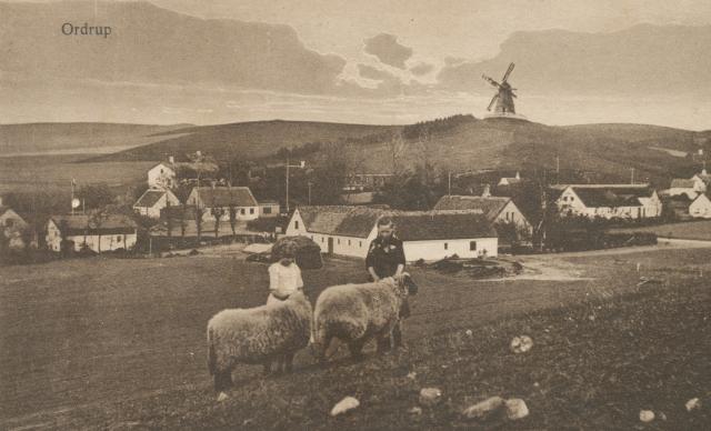 Parti fra Ordrup set fra Bavnen - ca. 1930 (B3627)