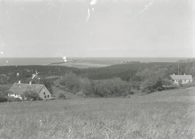 Lejrebjerg Skov/Kårup Skov - ca. 1940 (B3711)