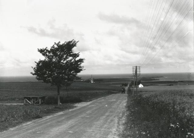 Udsigt mod Ordrup - ca. 1930 (B3727)