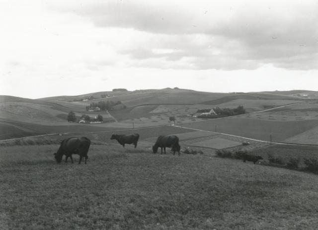 Fra Ordrup Render - ca. 1935 (B3733)
