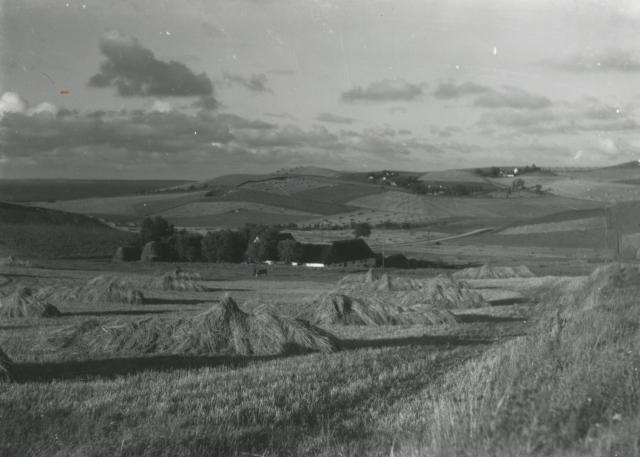 Fra Ordrup Render - 1930erne (B3752)