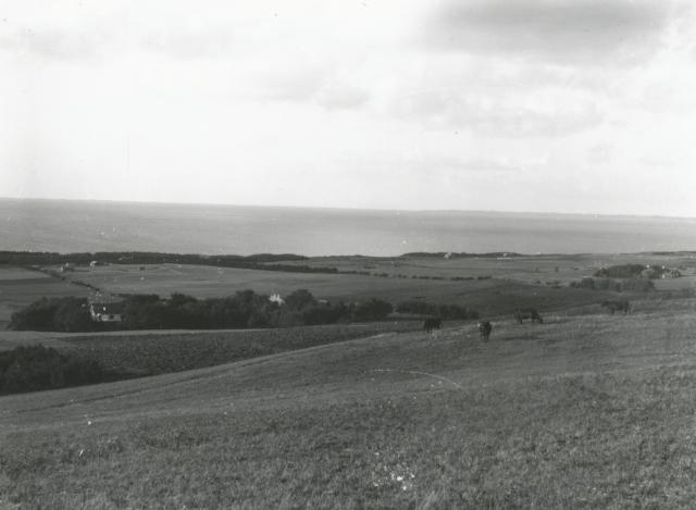 Ordrup Sander - ca. 1935 (B3775)
