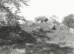 Runddyssen ved Frenderupgård - ca. 1930 (B3837)