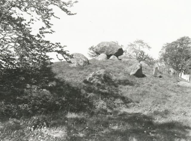 Runddyssen ved Frenderupgård - ca. 1930 (B3837)