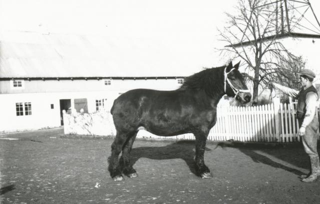 Stubberupholm - 1936 (B3974)