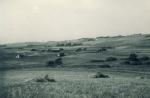 B.W. kolonien - 1930'erne (B4043)