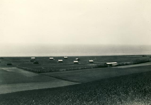 B.W. kolonien - 1940'erne (B4049)
